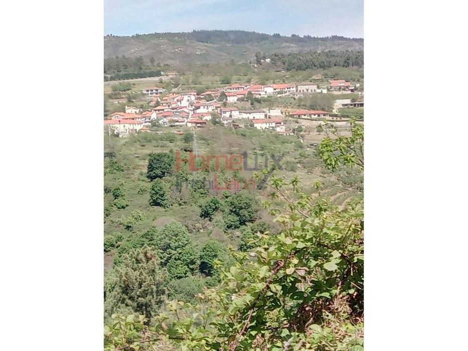 Terreno para venda em Lamego.