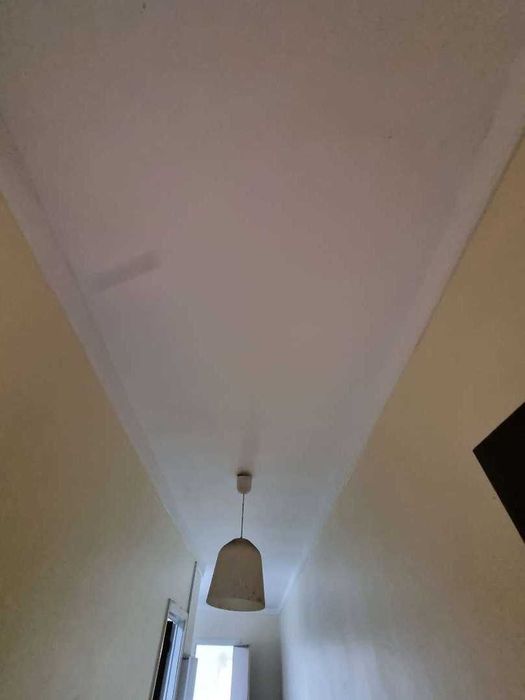 Remoção de Bolor em Paredes e Tetos | Resultado Visível