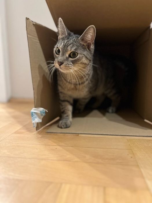 Przytulasek cudowny chłopak około trzech lat