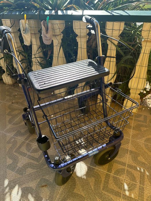 Andarilho com rodas novo