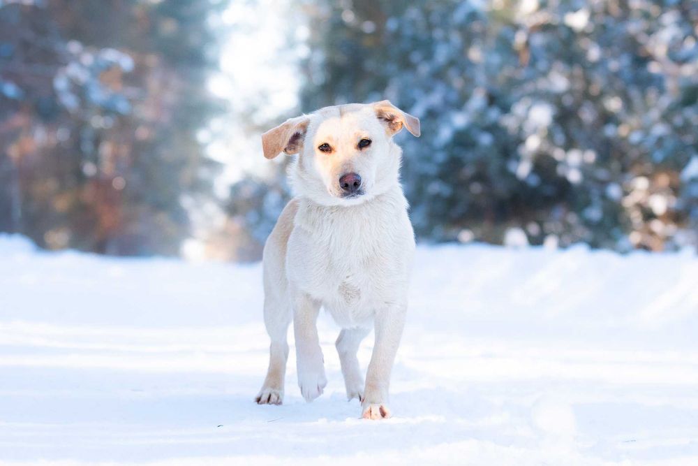 Lumea: młoda, rezolutna i przyjazna