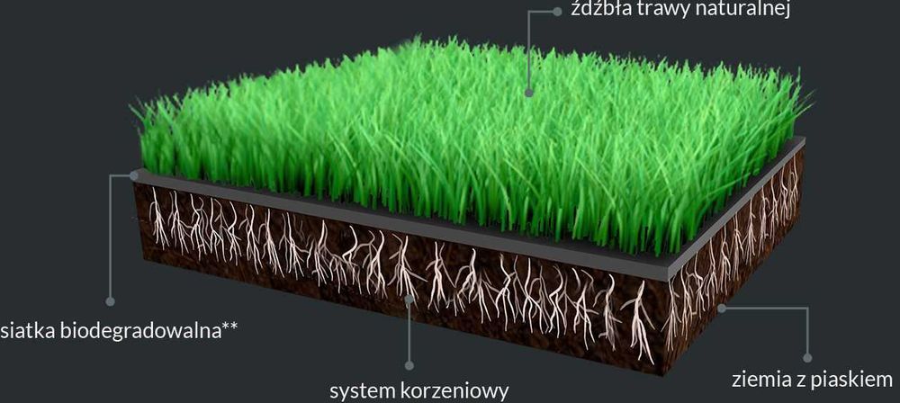 Trawa w rolce m2 Kraków małopolskie www.gardenlawn.pl/trawa-w-rolce