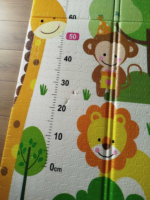 Mata piankowa edukacja