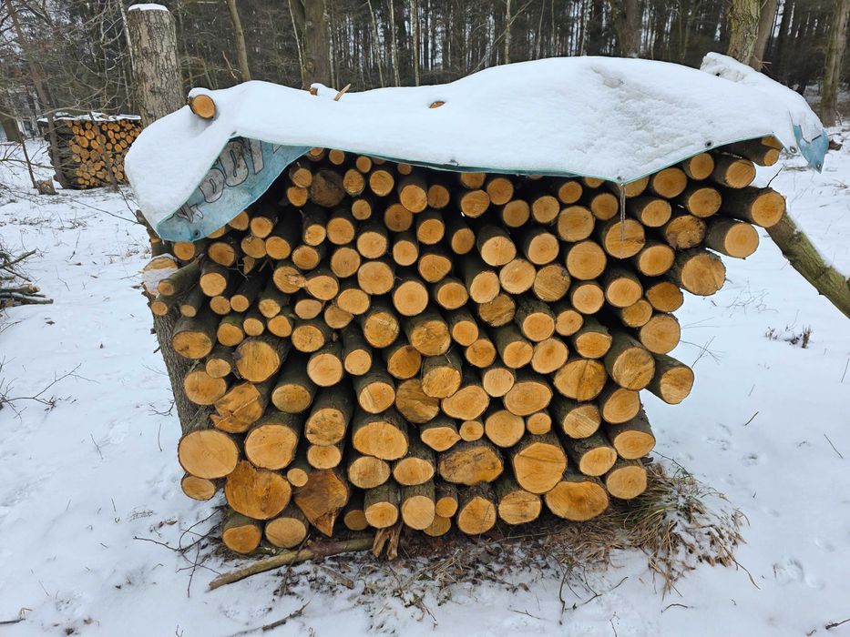 drewno opałowe i kominkowe sezonowane i świeże