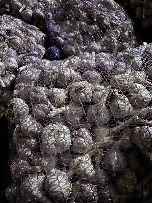 Часник / чеснок опт / розница