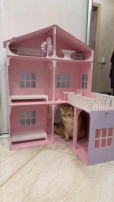 Ляльковий будинок