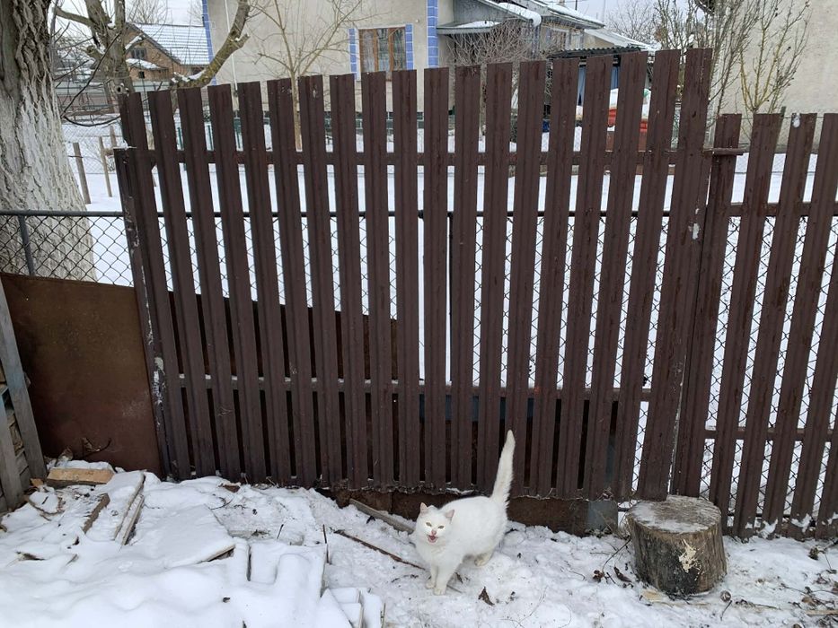 Брама з хфірткою