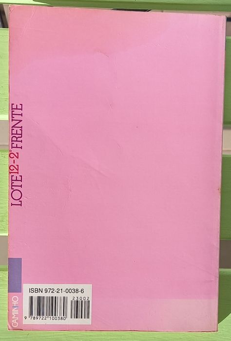 Livro "Lote 12, 2o frente", de Alice Vieira