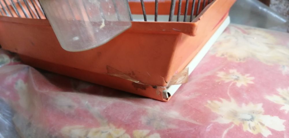 Gaiola para pássaros