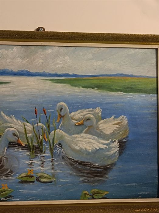 Max Koester ?.Kaczki .Obraz .Germany.