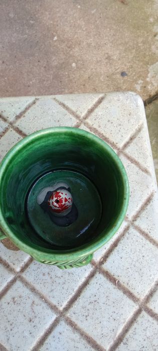 Várias canecas de cerveja e não só  novas