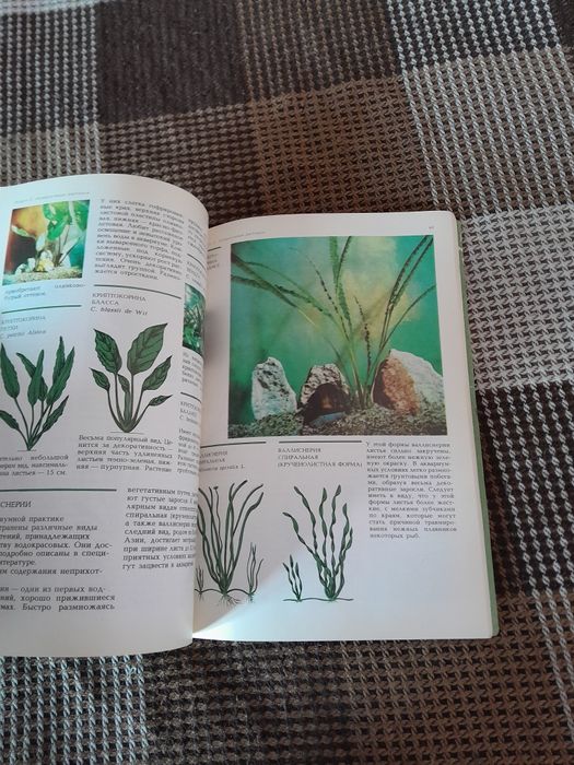 Книга світ акваріума