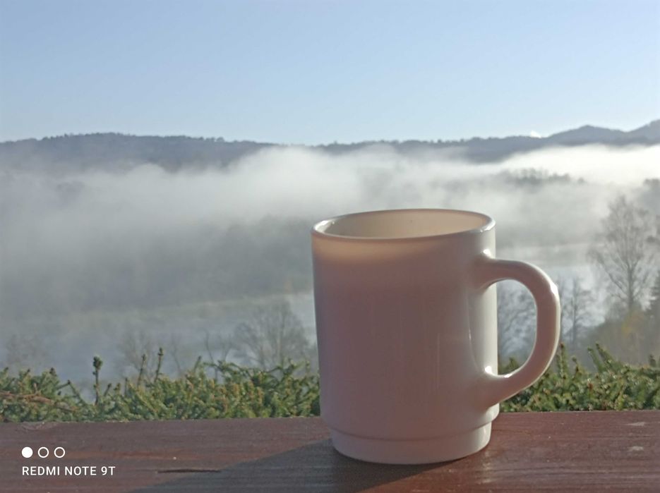 Domek2-7osobowy w Bieszczadach z widokiem nad Solinę
