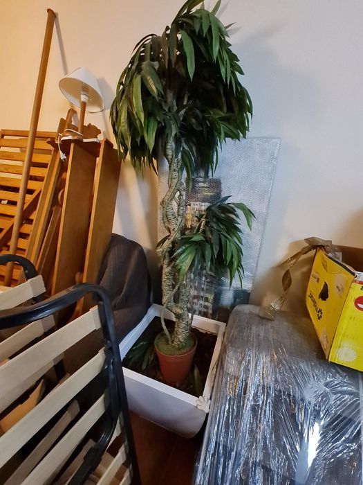 Vaso e planta artificial - altura 1,8m e vaso com 0,51*0,51m