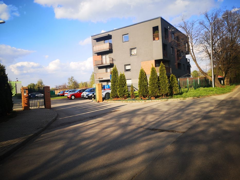 Zdjęcie 7