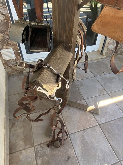 Sela Portuguesa para criança