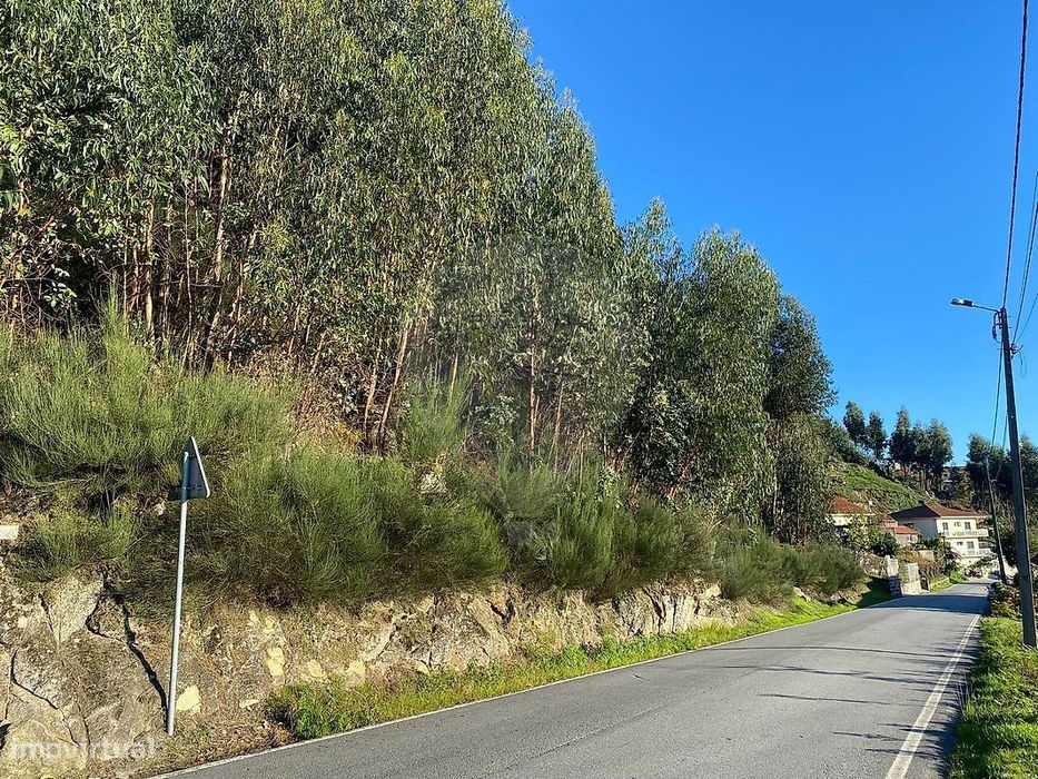 Terreno  para venda