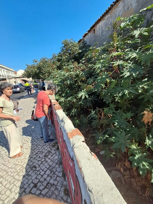 Limpeza de terrenos