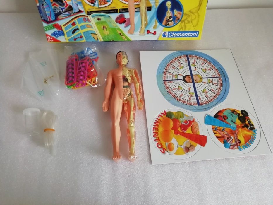 Jogo "O Corpo Humano" (9+)