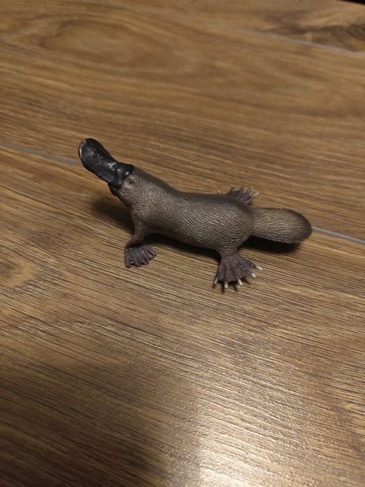 Figurka dziobak collecta