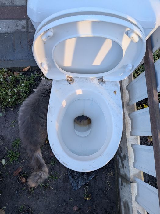 Унітаз тимчасовий, будівельний