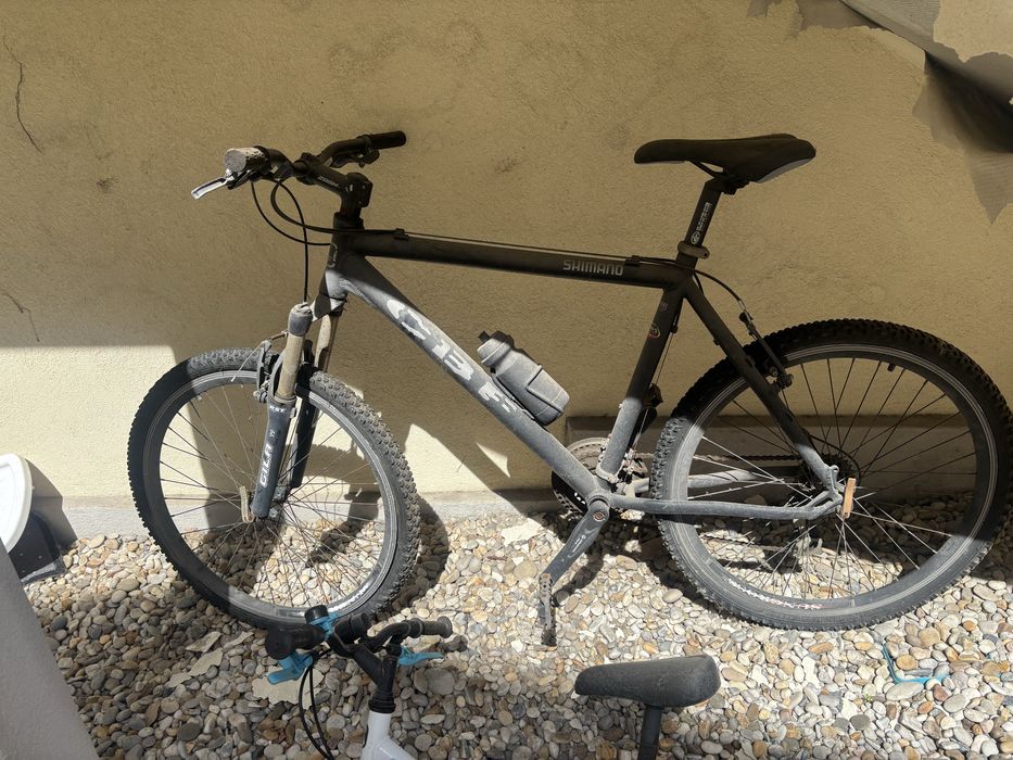 Bicicleta de adulto