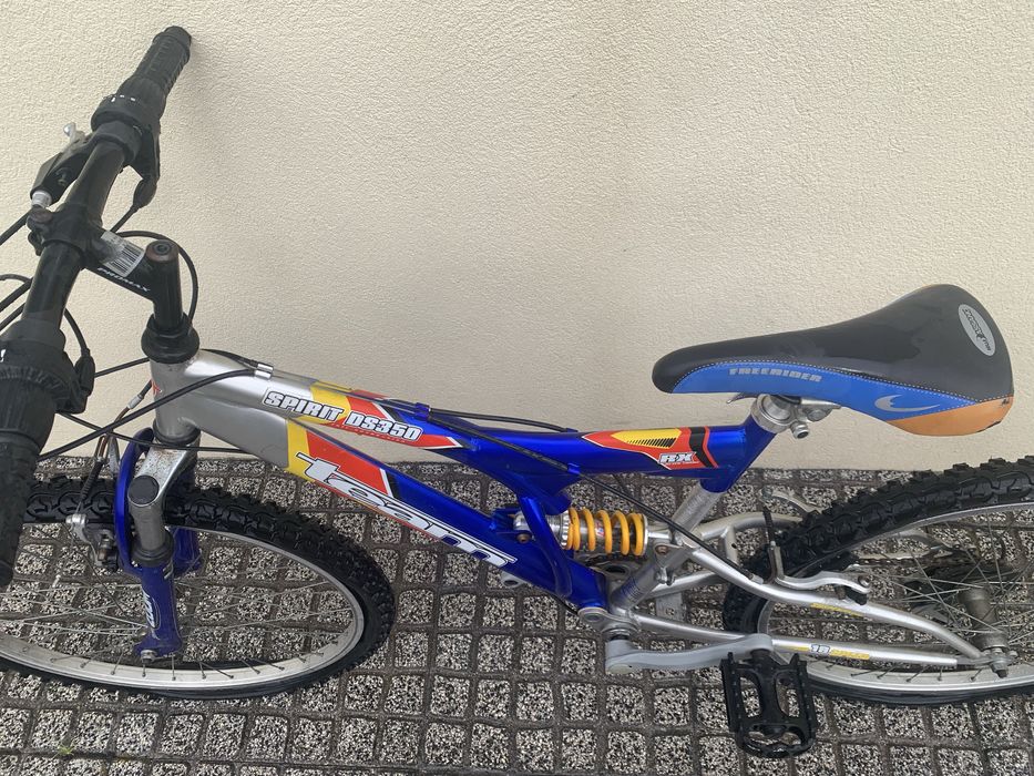 Bicicleta  team spirit