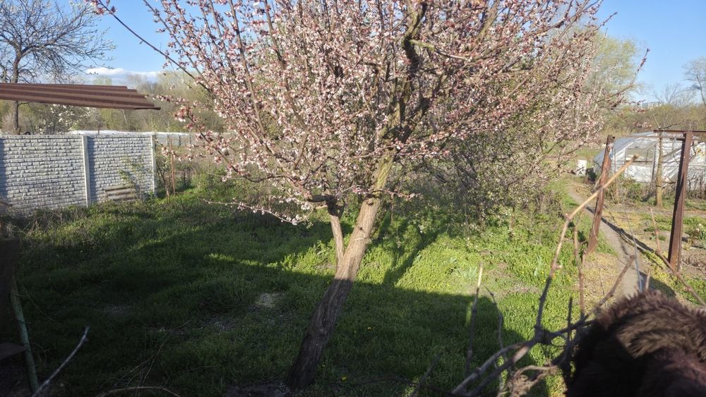 Продам дом Диёвка-2 в хорошем состоянии
