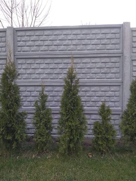 Ogrodzenia betonowe-sprzedaż, montaż