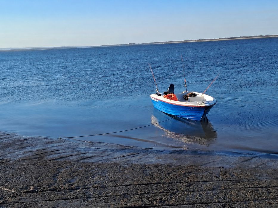 Mariner 25 HP Ironing Boat 435