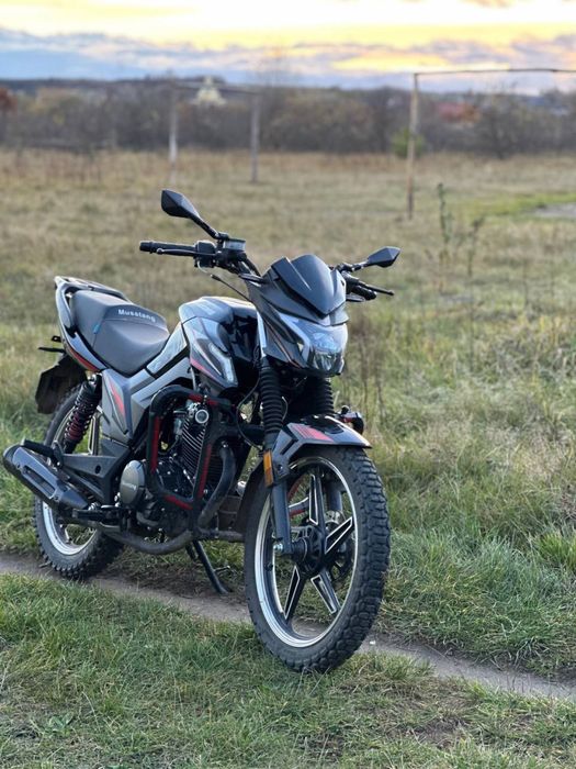 Musstang Fortune 200