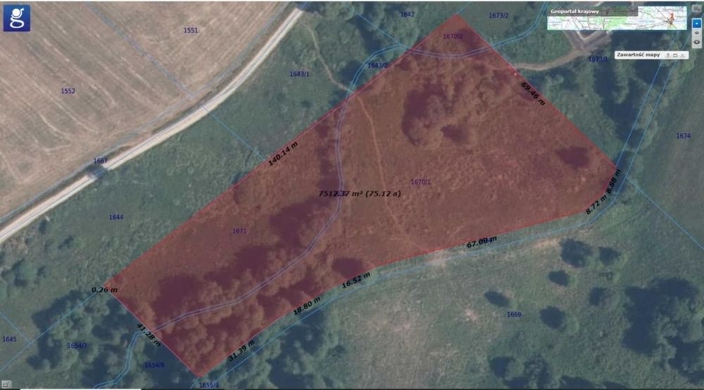 Działka rolna Tylicz 73ar