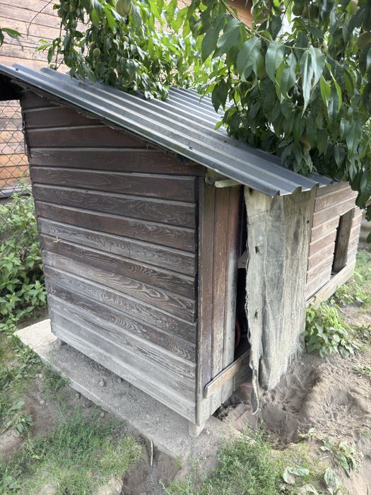 Buda dla dużego psa ocieplana pokryta blacha