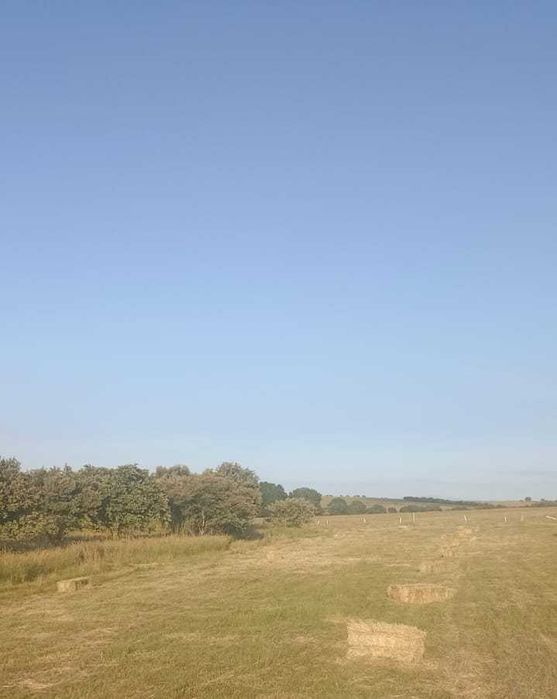 Fardos dos pequenos de feno espontâneo e Também de aveia com azevem