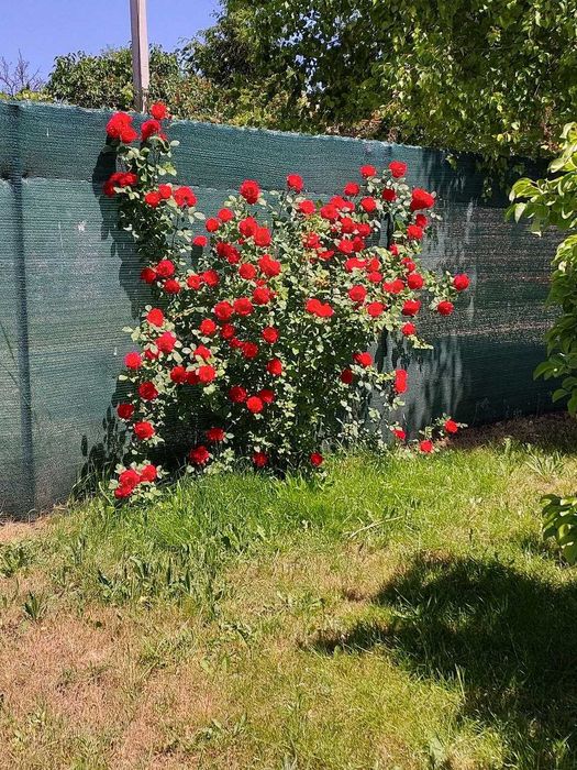 Продам будинок у селі Люцерна біля Запоріжжя