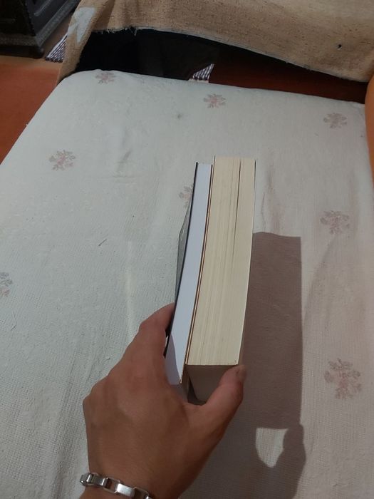 Os principios do sucesso e inabalavel