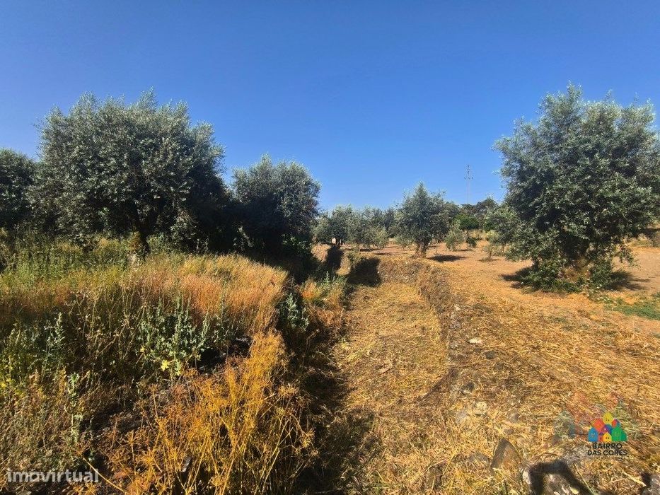 Refúgio Rural com Moradia T4 e Excelentes Acessos