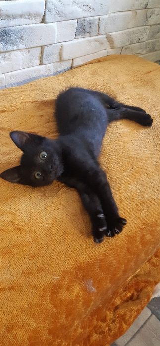 Маленький хлопчик