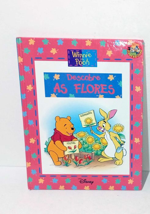 Winnie The Pooh -Salvat