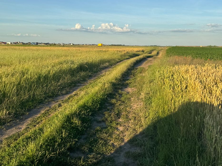 Продам пай Колоденка 2 гектари