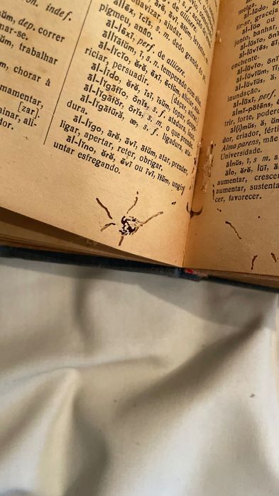 Dicionário Latino-Português