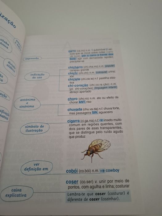 Dicionário básico ilustrado Português