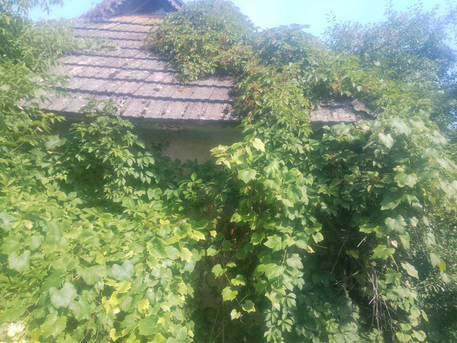 продам будинок маліївці