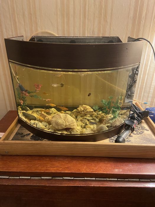 Продам аквариум на 30 литров