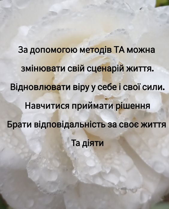 Спеціаліст, Консультант