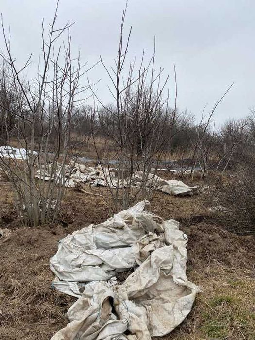 Продам будинок з меблями та технікою Богодухів (169118)
