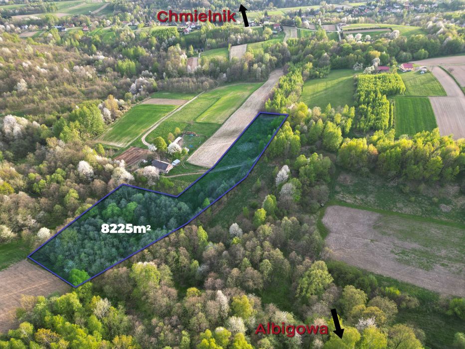 Expresowe usługi dronowe, panorama 360°, zdjęcia z drona