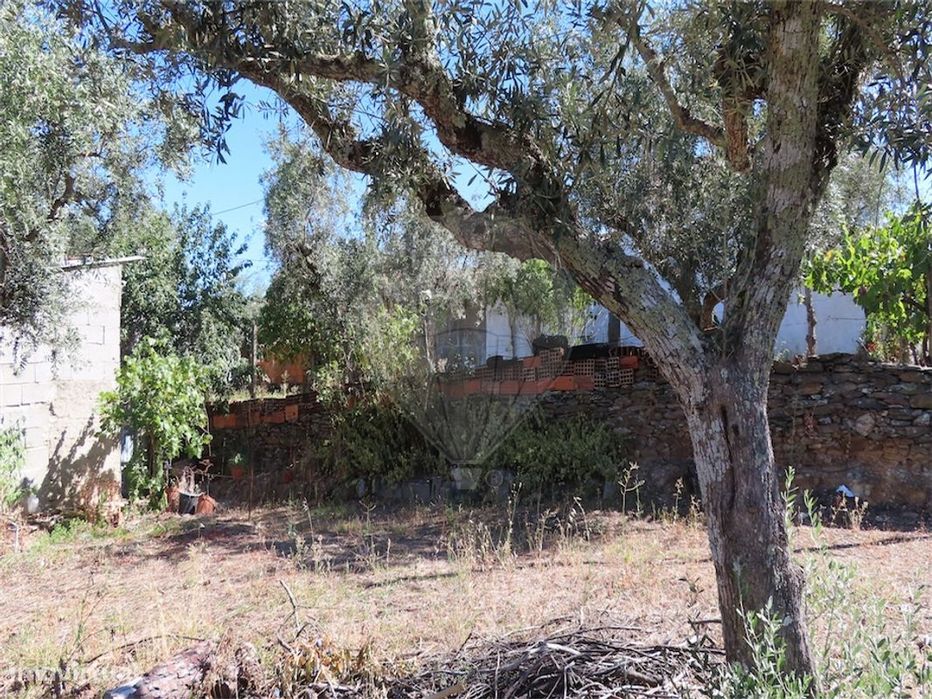 Quinta  para venda