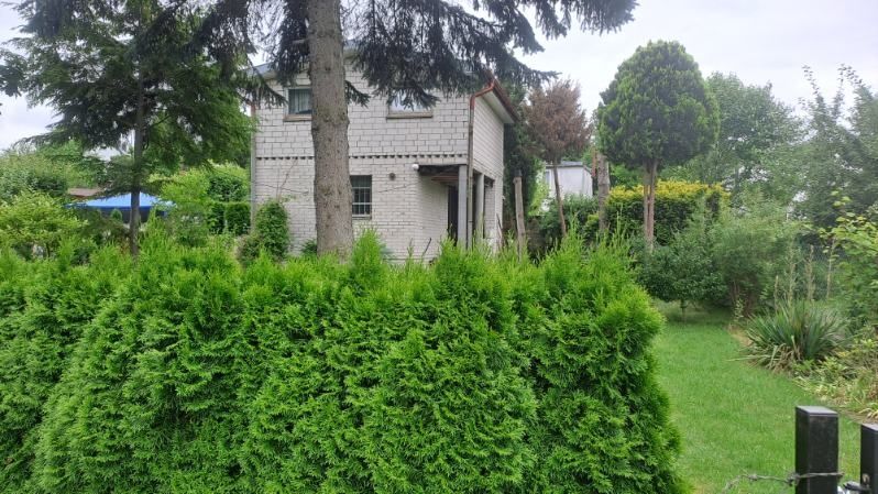 Działka ROD Gdańsk Zabornia