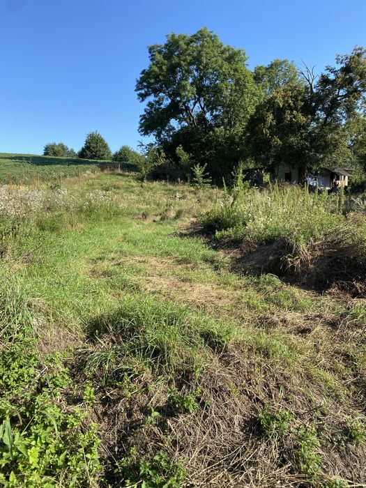 Продаж земельна ділянка 95 соток (від власника)